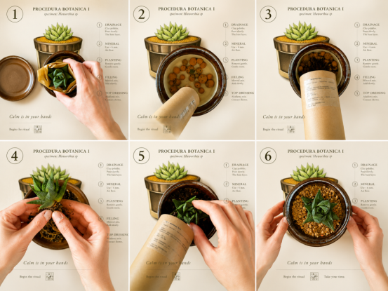 DOSLOW — Haworthia | Kolomazník Ritual Set (PROCEDURA 01)