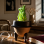 DOSLOW — Senecio  | Bohemian handmade ceramic - Ritual Set (PROCEDURA 02)