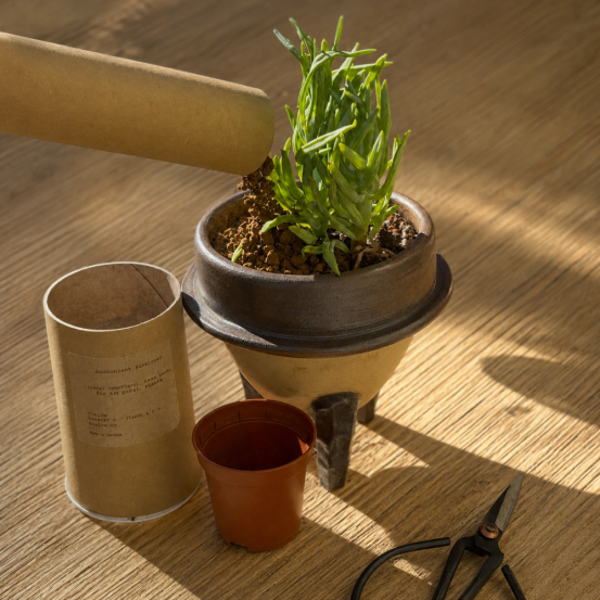 DOSLOW — Senecio  | Bohemian handmade ceramic - Ritual Set (PROCEDURA 02)