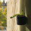 DOSLOW — Sedum burrito | MODULAR WALL PLANTER - Ritual Set (PROCEDURA 03)