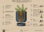 DOSLOW — Sedum burrito | MODULAR WALL PLANTER - Ritual Set (PROCEDURA 03)