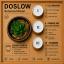 DOSLOW — Haworthia | Kolomazník Ritual Set (PROCEDURA 01)