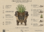 DOSLOW — Senecio  | Bohemian handmade ceramic - Ritual Set (PROCEDURA 02)