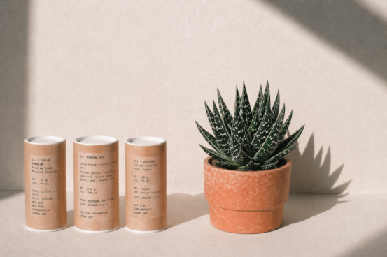 DOSLOW — Aloe | Terracotta Ritual Set (PROCEDURA 02)