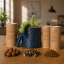 DOSLOW — Sedum burrito | MODULAR WALL PLANTER - Ritual Set (PROCEDURA 03)