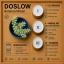 DOSLOW — Sedum burrito | MODULAR WALL PLANTER - Ritual Set (PROCEDURA 03)